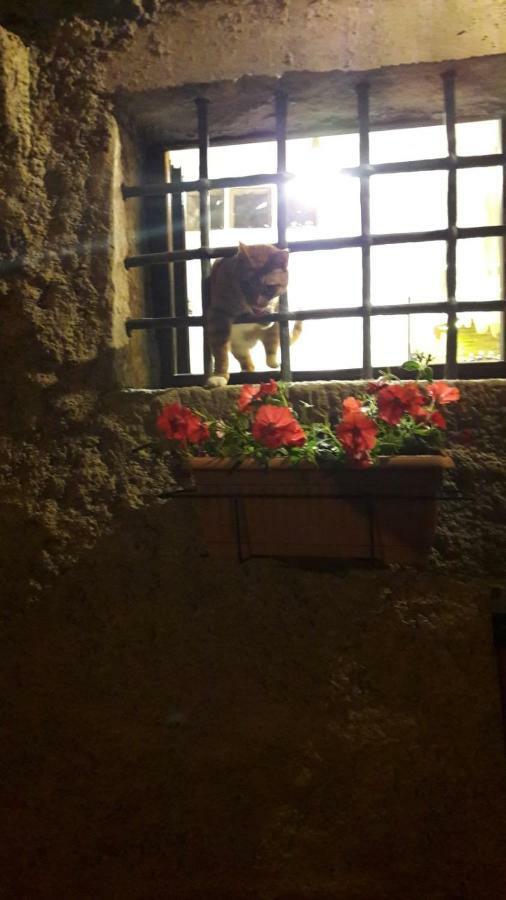 L'Arco Di Sersa Riccò del Golfo di Spezia Buitenkant foto